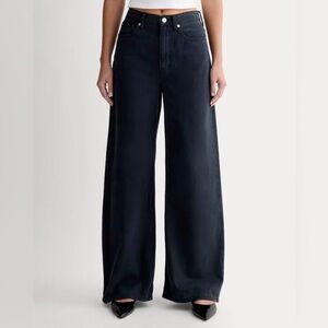 Everlane the baggy jean in black